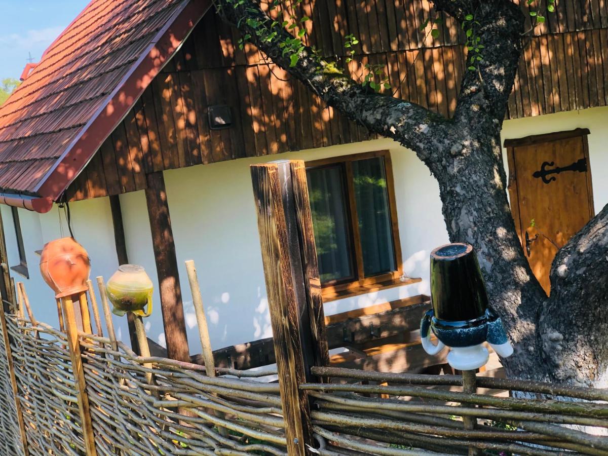 Еко Дім З Соломи Villa Solochyn Exterior photo