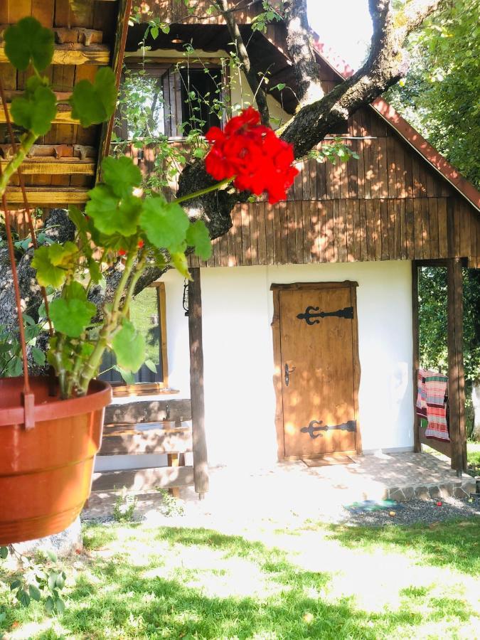 Еко Дім З Соломи Villa Solochyn Exterior photo