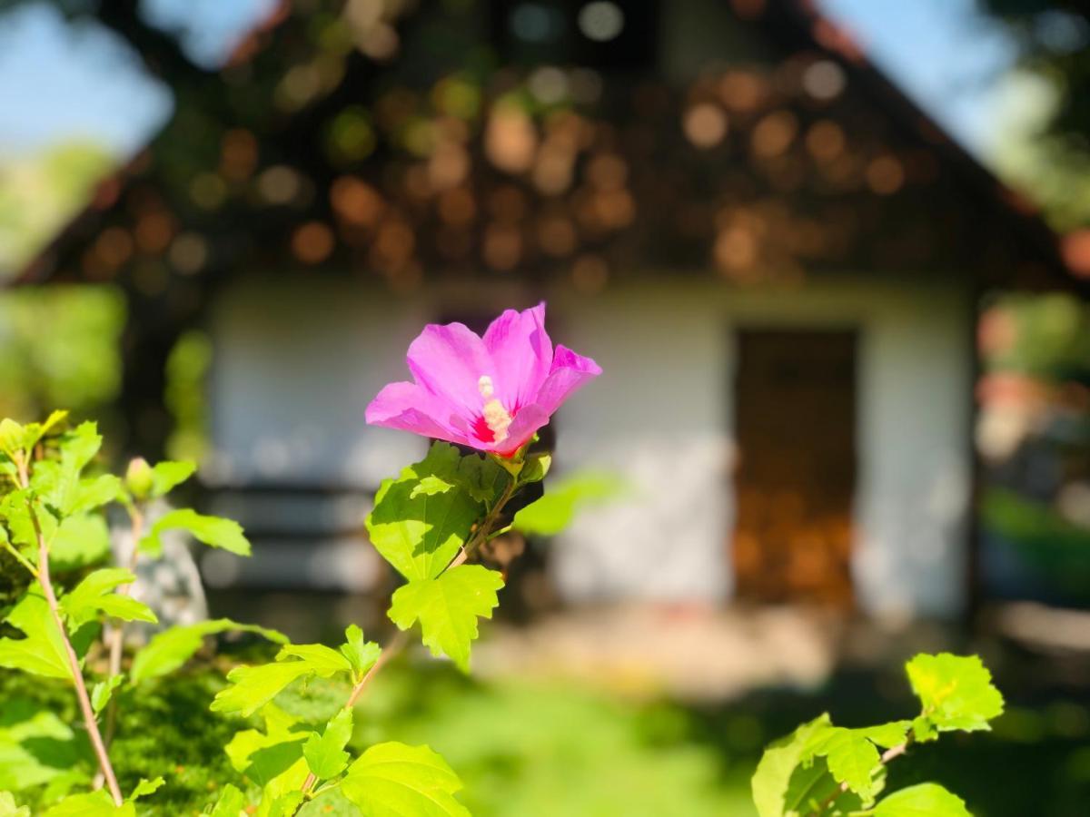 Еко Дім З Соломи Villa Solochyn Exterior photo