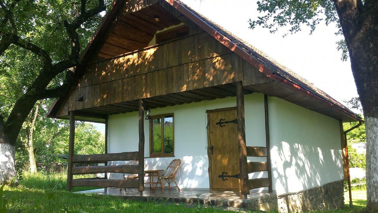 Еко Дім З Соломи Villa Solochyn Exterior photo