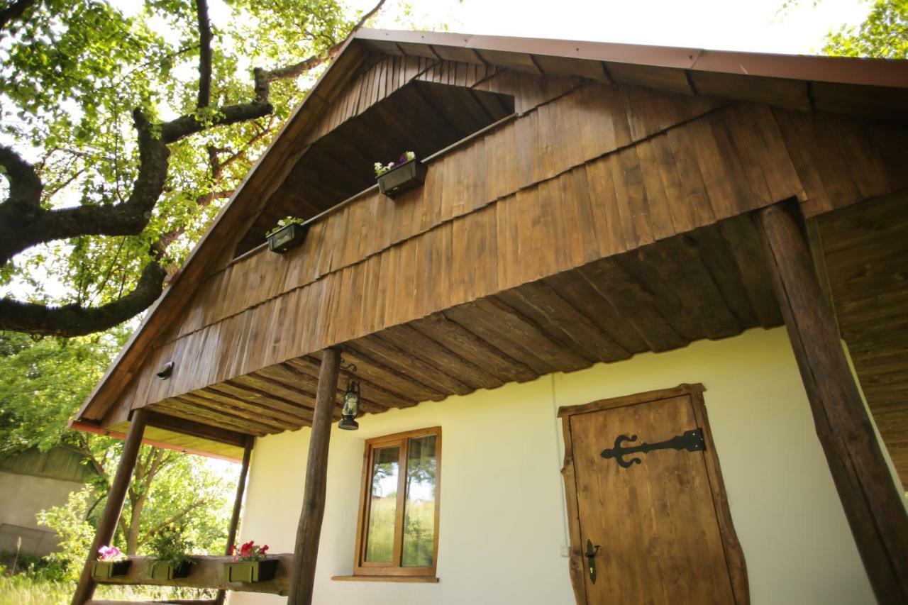 Еко Дім З Соломи Villa Solochyn Exterior photo